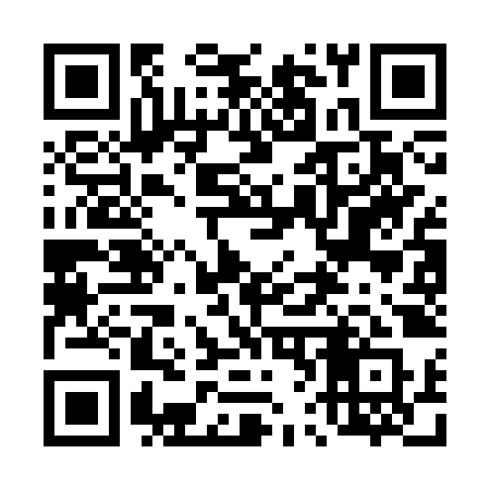 QR code for 463CZQ
