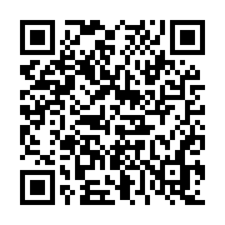 QR code for 463MTN