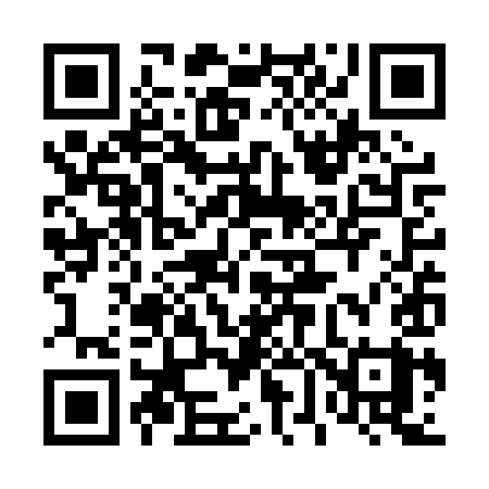 QR code for 463PYY