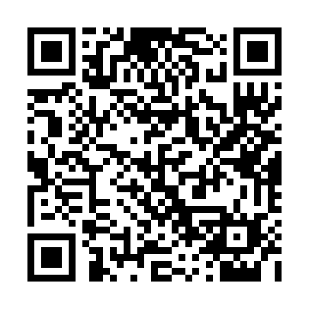 QR code for 463REL