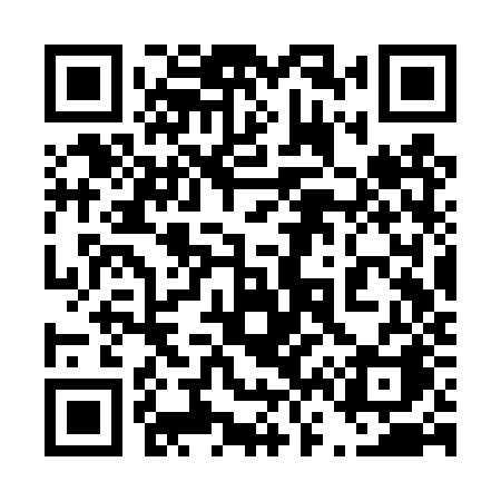 QR code for 463TZA