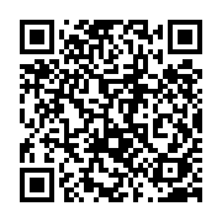 QR code for 463UAH