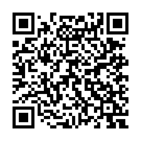 QR code for 480DMG