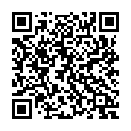 QR code for 480IRB