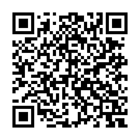 QR code for 481DFS