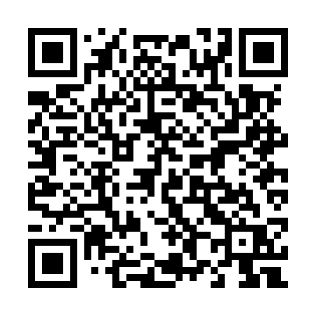 QR code for 482MSR