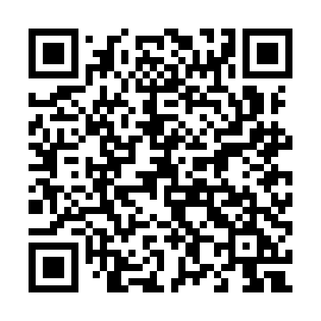 QR code for 487IDE