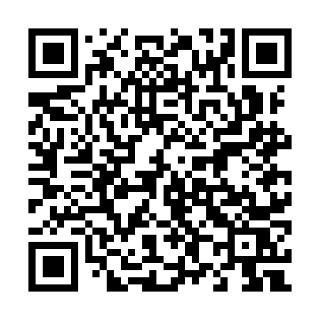 QR code for 487INS