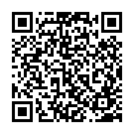 QR code for 487PUV