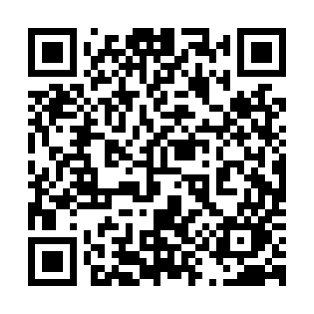 QR code for 490LUO