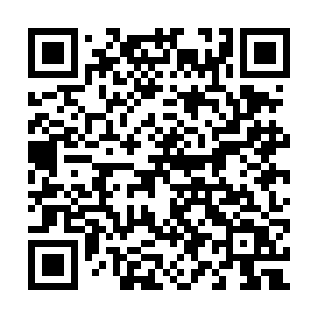 QR code for 491DJT