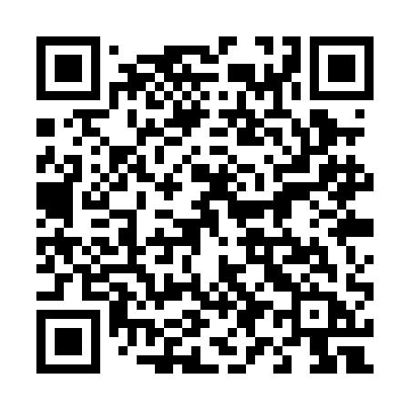 QR code for 491PAB