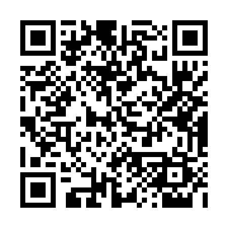 QR code for 491PUS
