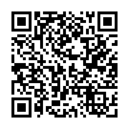 QR code for 493ARS