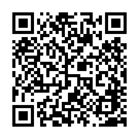 QR code for 493DNB