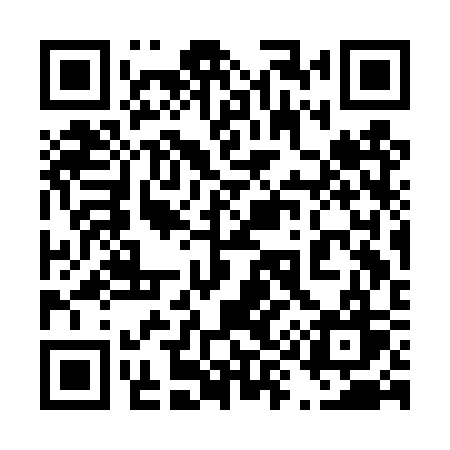 QR code for 493DSW