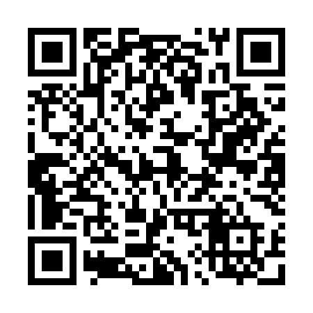 QR code for 493GMD
