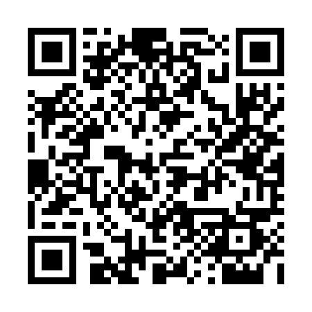 QR code for 493GRS