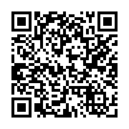 QR code for 493HIV