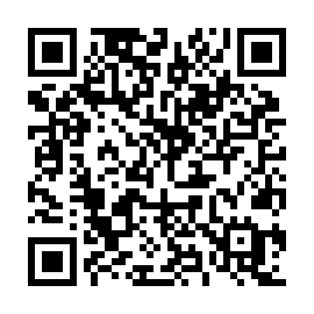 QR code for 493JNE