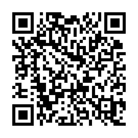 QR code for 493KPI