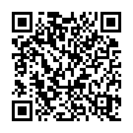 QR code for 493KRW