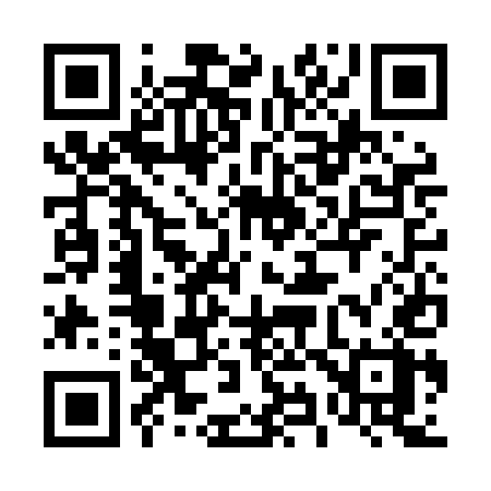 QR code for 493LEX