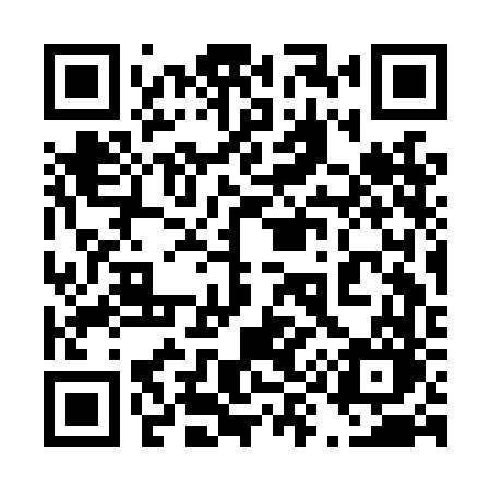 QR code for 493LFO