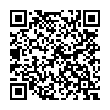 QR code for 493LQK