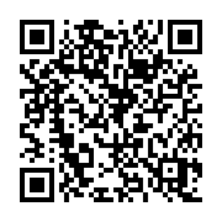 QR code for 493MKT