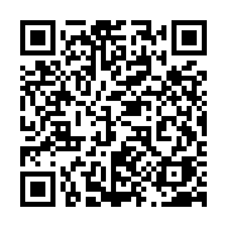 QR code for 493MSA