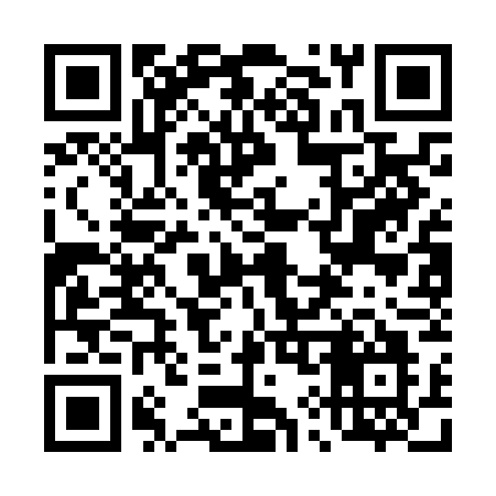 QR code for 493NGO