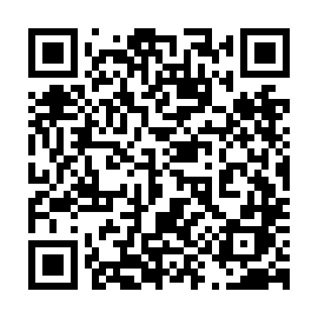 QR code for 493NLH
