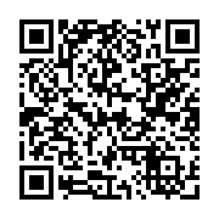 QR code for 493NTQ