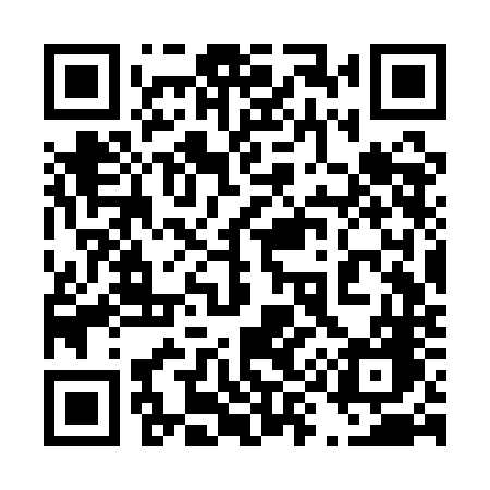 QR code for 493QNG