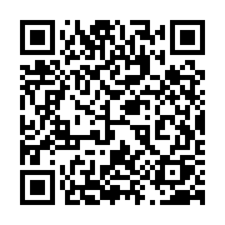 QR code for 493QWQ