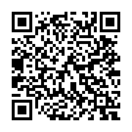 QR code for 493TSH