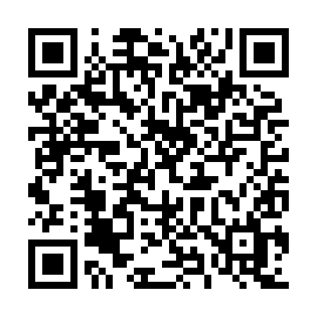 QR code for 493XIL