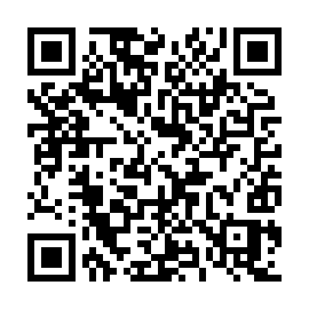 QR code for 493XYS