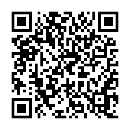 QR code for 493YUN