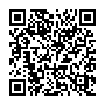 QR code for 493YYY