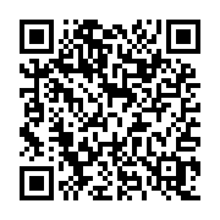 QR code for 494YAG