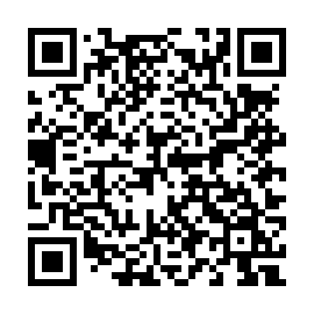 QR code for 495LZN