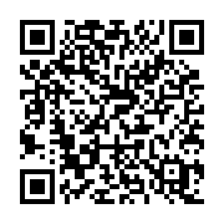 QR code for 495RCE
