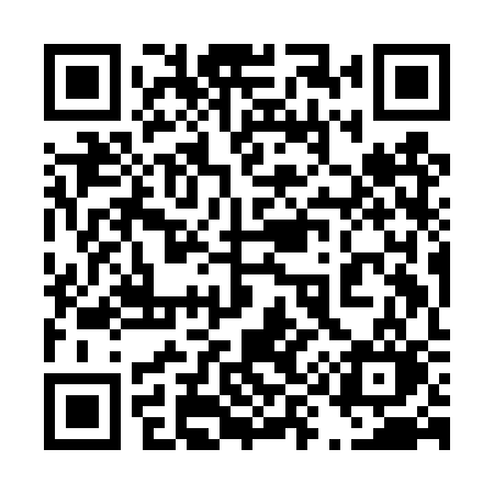 QR code for 499DSO