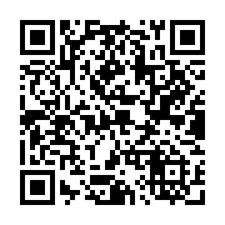 QR code for 499SGI