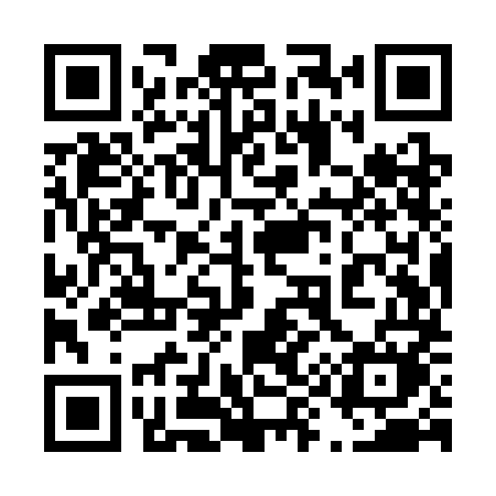QR code for 499SMM