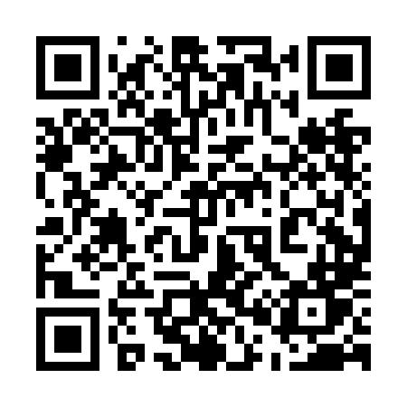 QR code for 500NLT