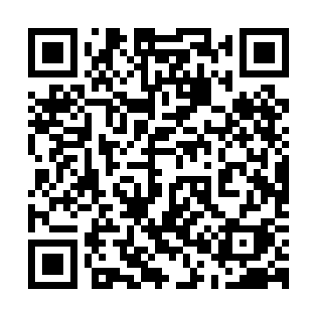 QR code for 500PCI