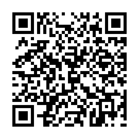 QR code for 509IIC